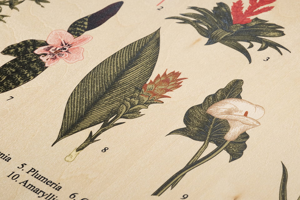 木材(白インク使用なし)のイメージ画像