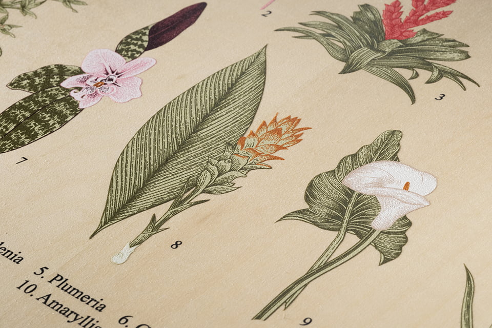 木材(白インク使用あり)のイメージ画像
