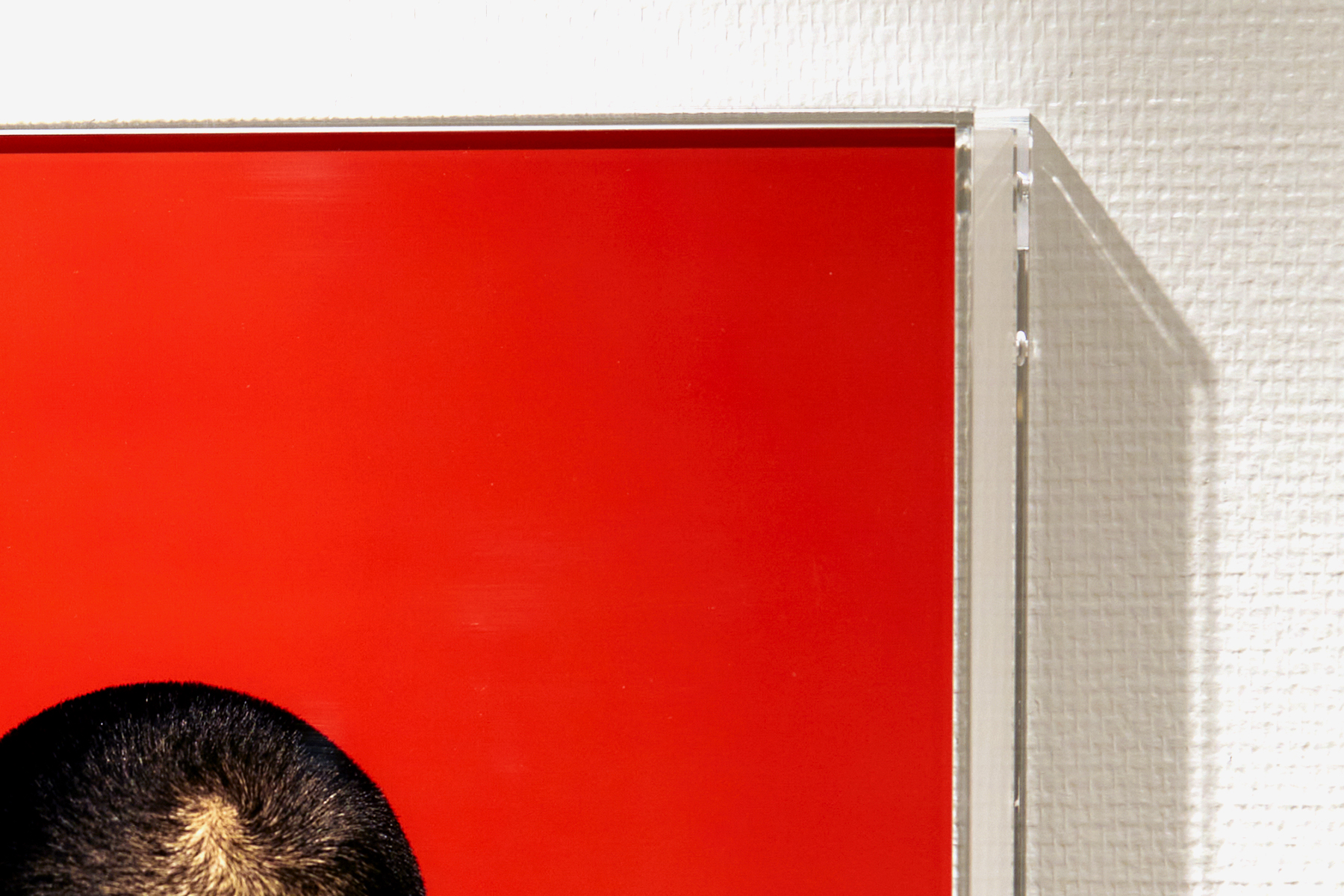 KENJI YAMADA | Photo Exhibition [FORM] |