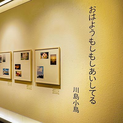 川島小鳥。『おはようもしもしあいしてる』