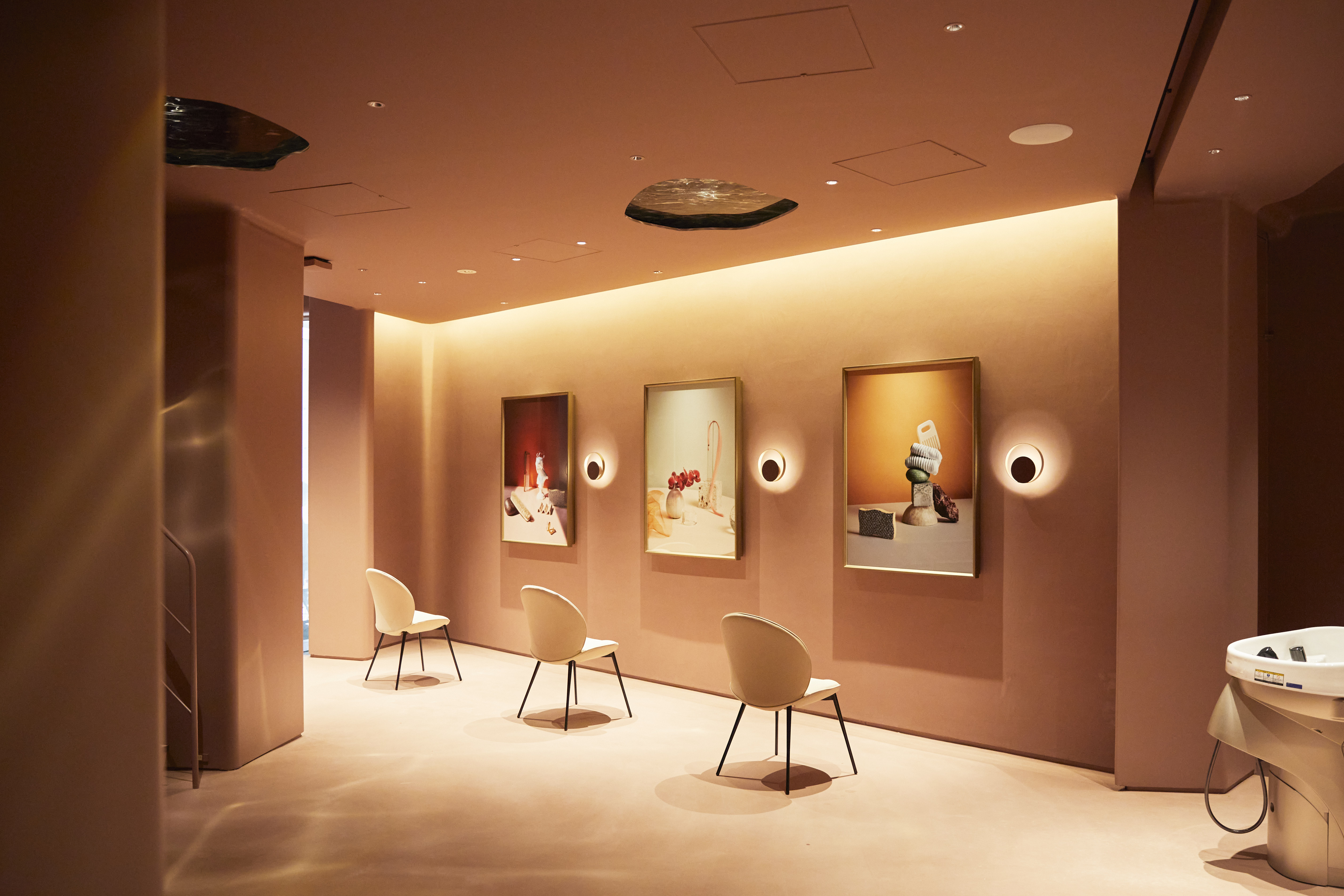SALON DE MEDULLA