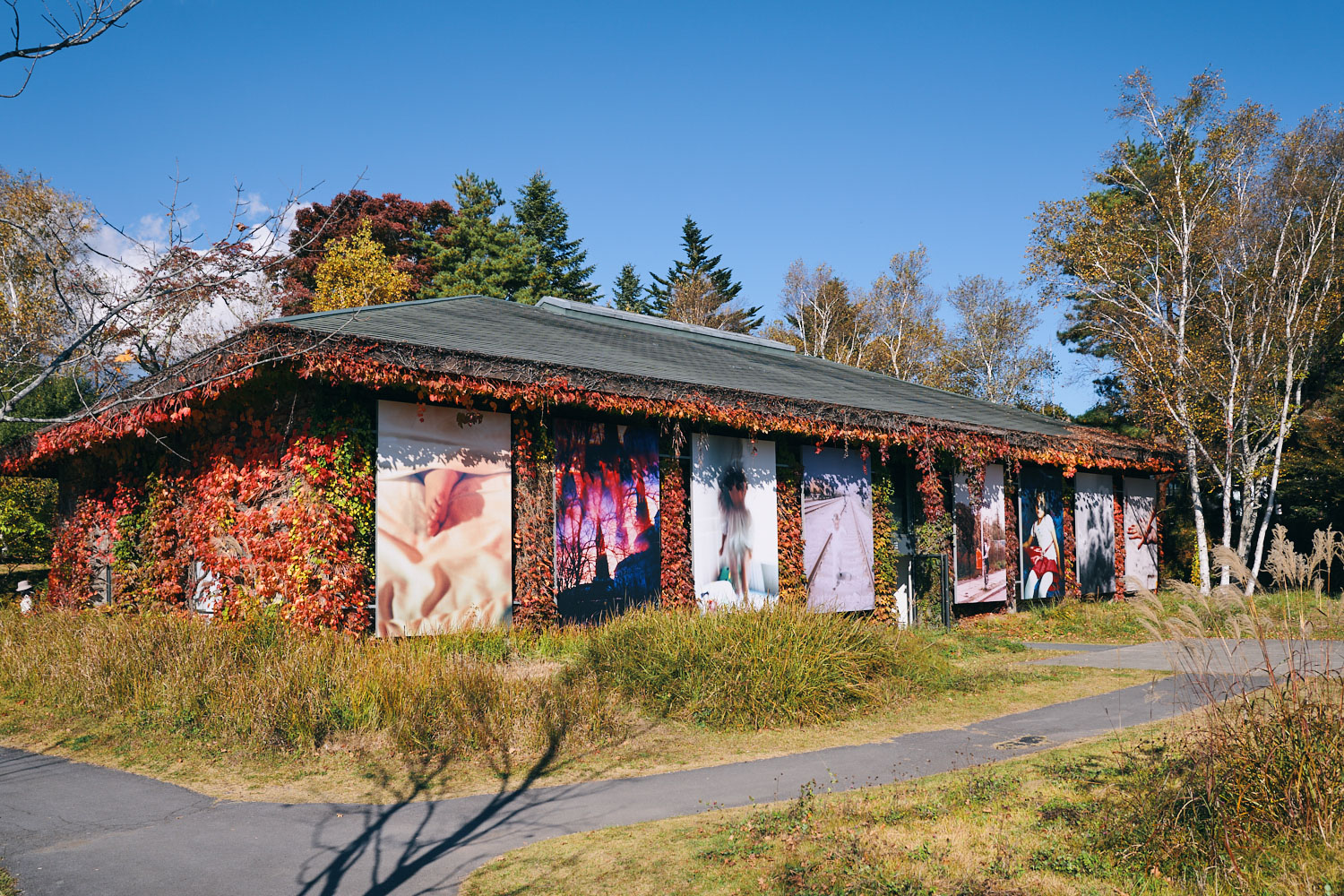 花代｜写真の中の子どもたち、 記憶と想像への旅 ～アマナコレクションより～｜御代田写真美術館