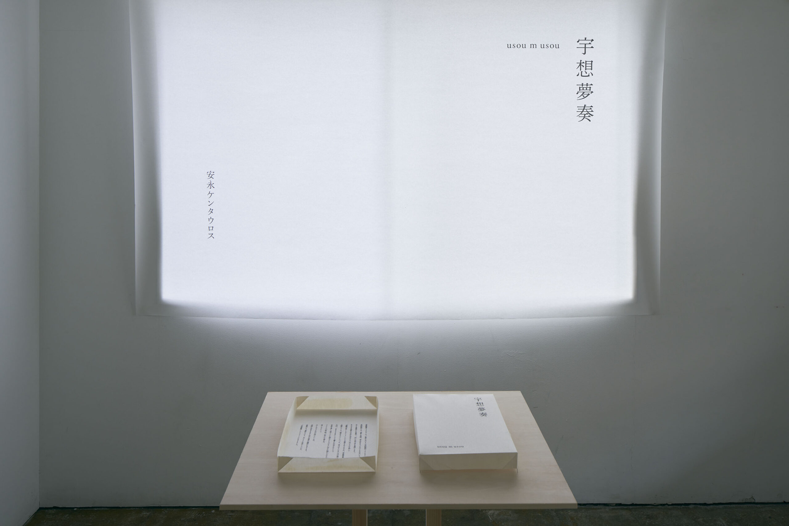 安永 ケンタウロス｜『 宇想夢奏 ~usou m usou~ 』写真展｜CURATOR'S CUBE