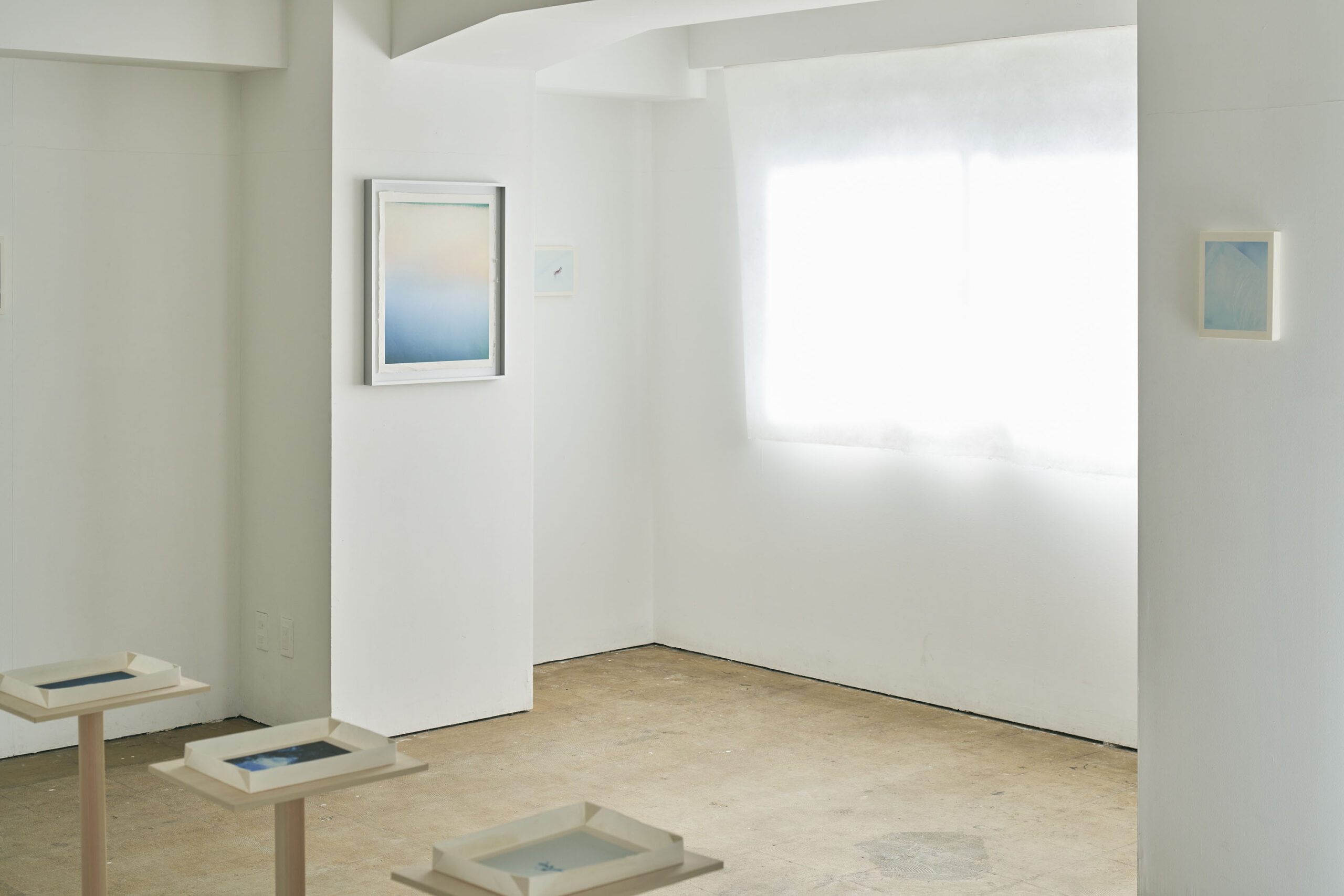 安永 ケンタウロス｜『 宇想夢奏 ~usou m usou~ 』写真展｜CURATOR'S CUBE