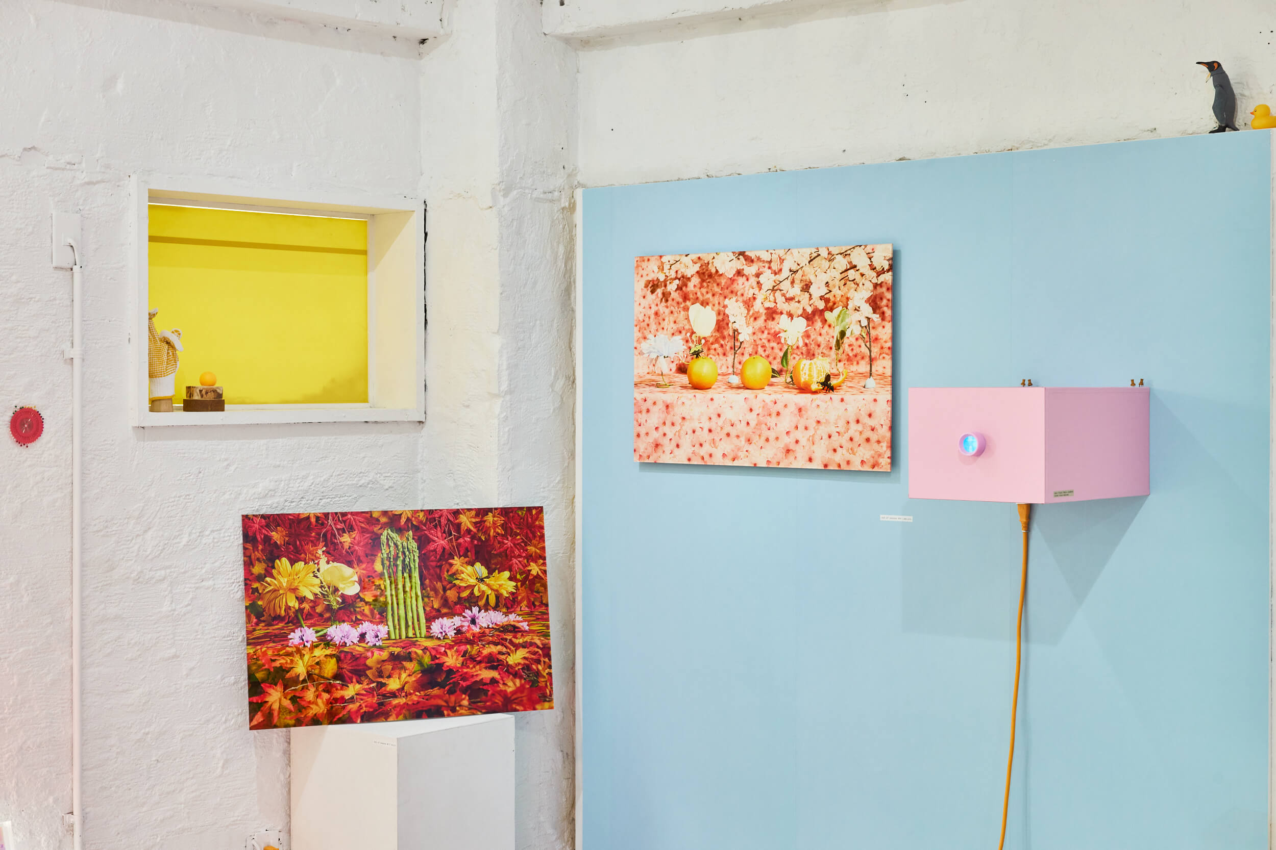 AKANE｜写真展『Supersupercalifragilisticexpialidodocious』