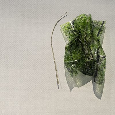 IMA next EXHIBITION 01