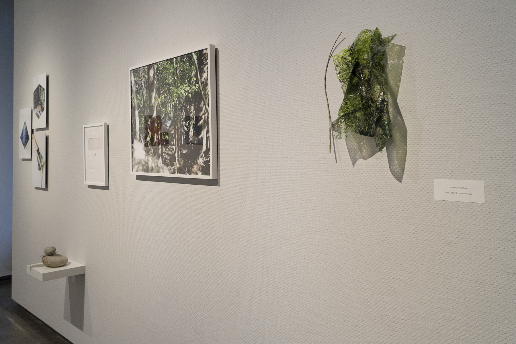 IMA next EXHIBITION 01
