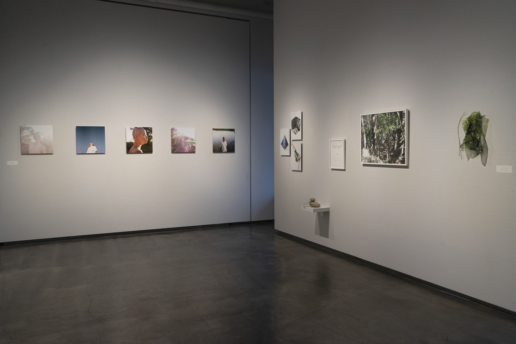 IMA next EXHIBITION 01