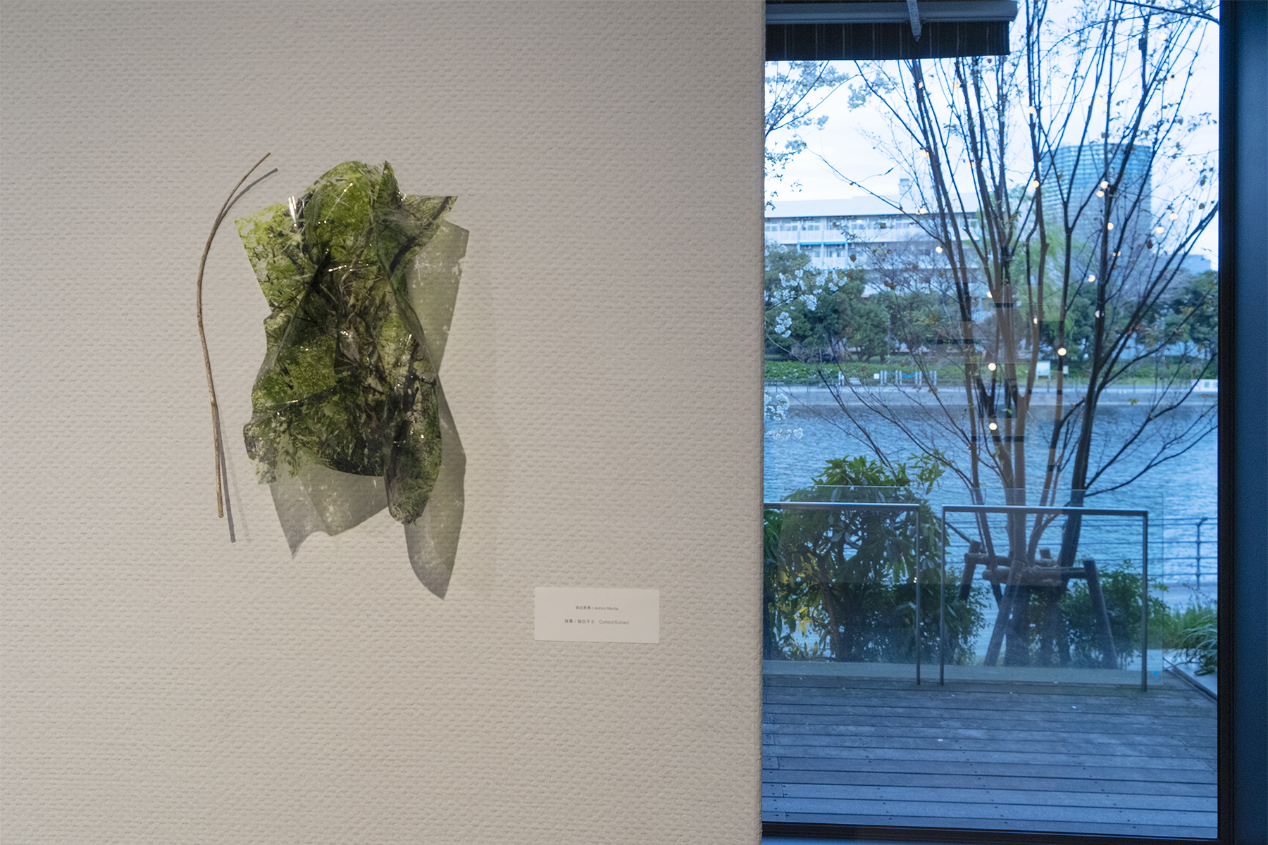 IMA next EXHIBITION 01