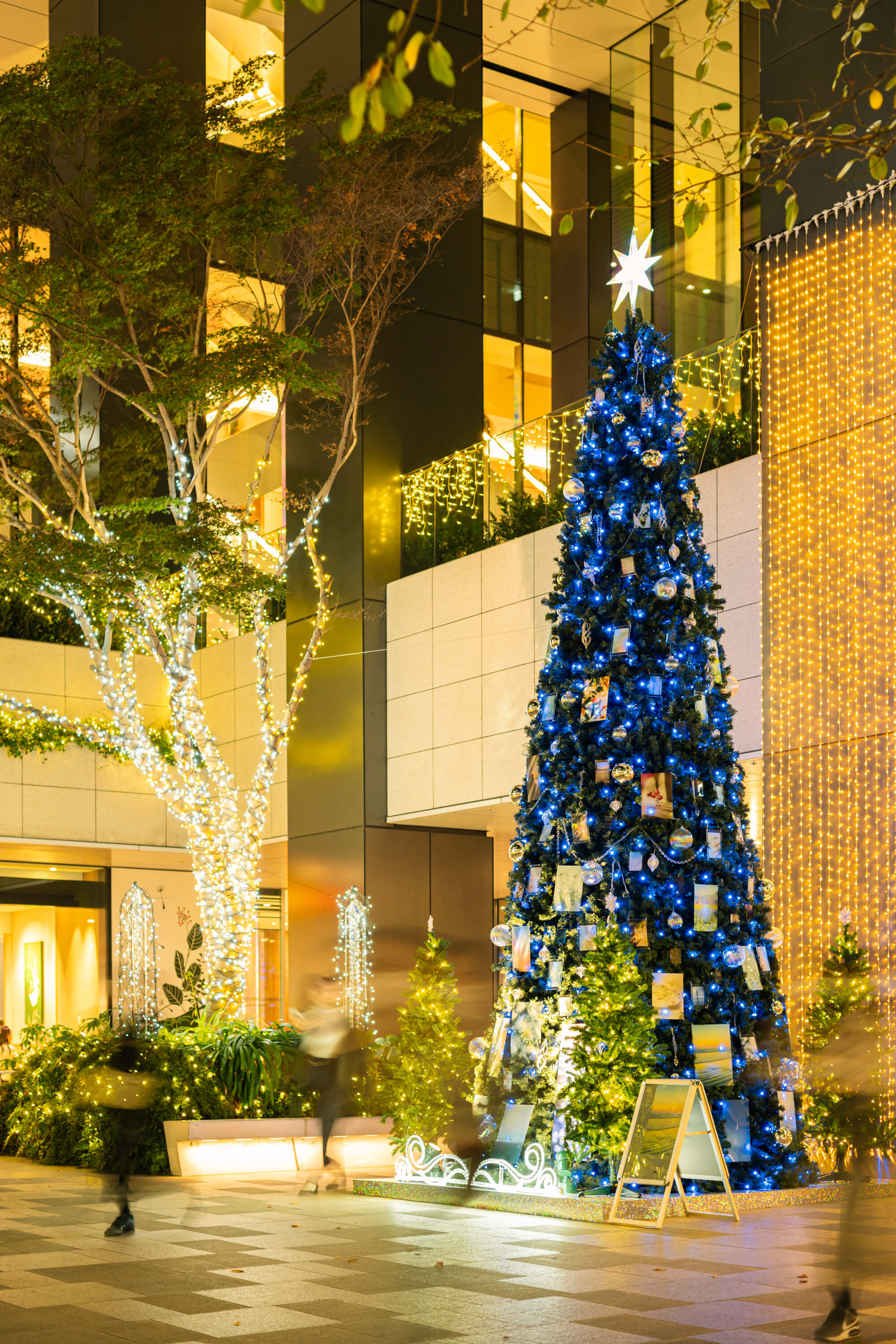 東京スクエアガーデン｜国分真央｜有限会社三幸（TOKYO ACRYL）｜2025 東京スクエアガーデン ウィンターイルミネーション「When Silence Becomes Light　光とつなぐ、透明のとき」