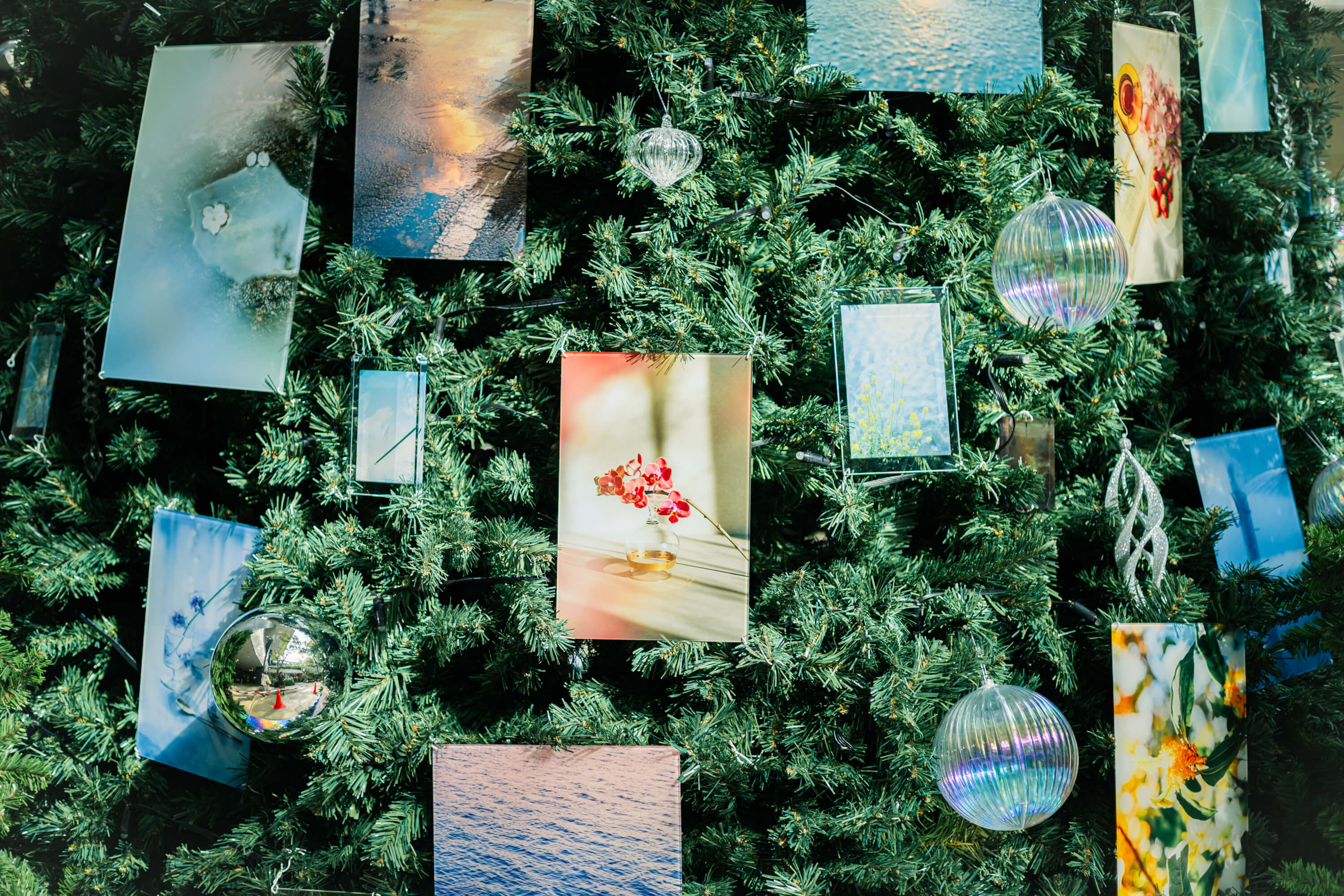 東京スクエアガーデン｜国分真央｜有限会社三幸（TOKYO ACRYL）｜2025 東京スクエアガーデン ウィンターイルミネーション「When Silence Becomes Light　光とつなぐ、透明のとき」