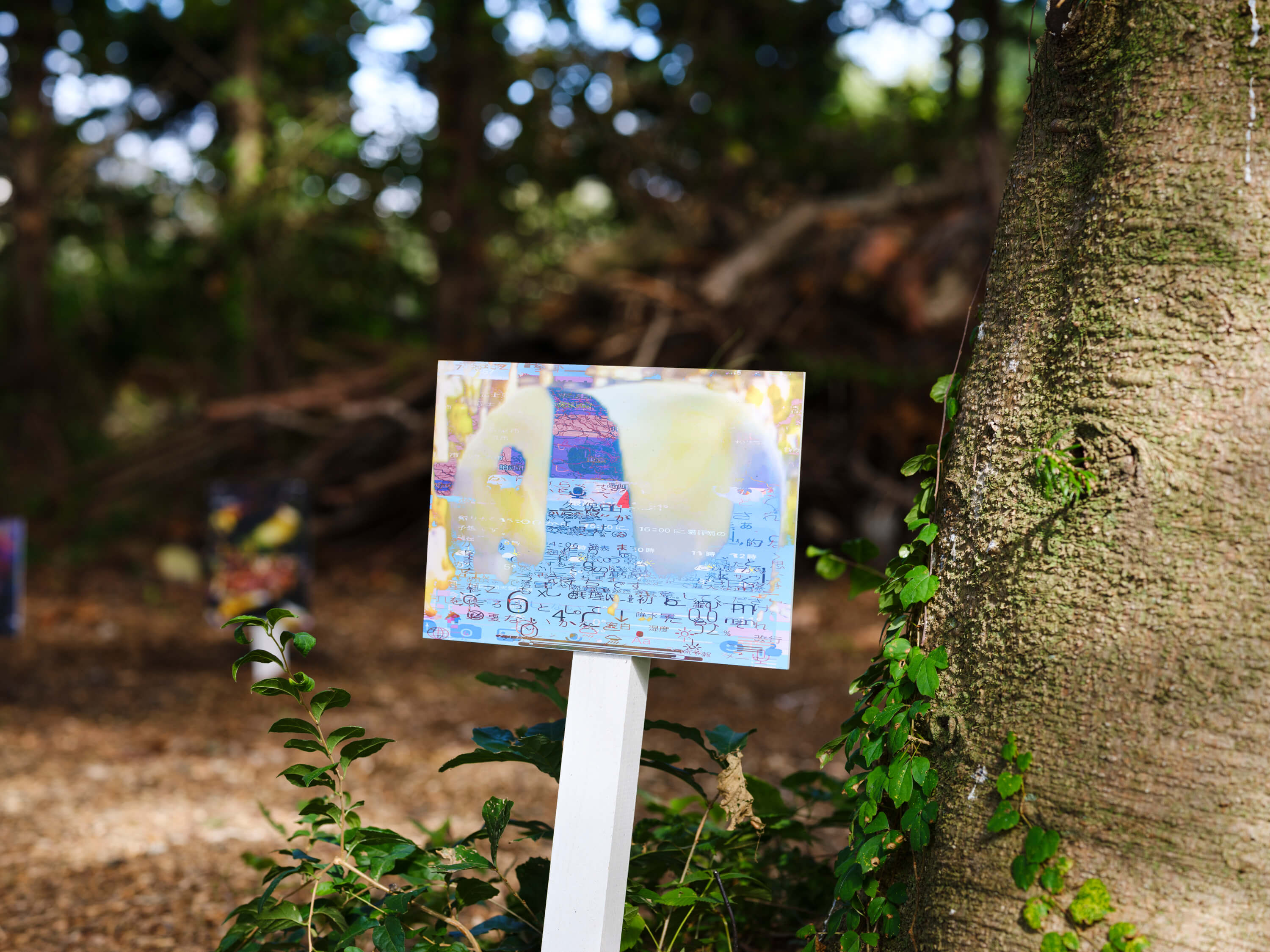 小林 健太｜松井祐生（関川卓哉）｜浅間国際フォトフェスティバル2025 PHOTO MIYOTA