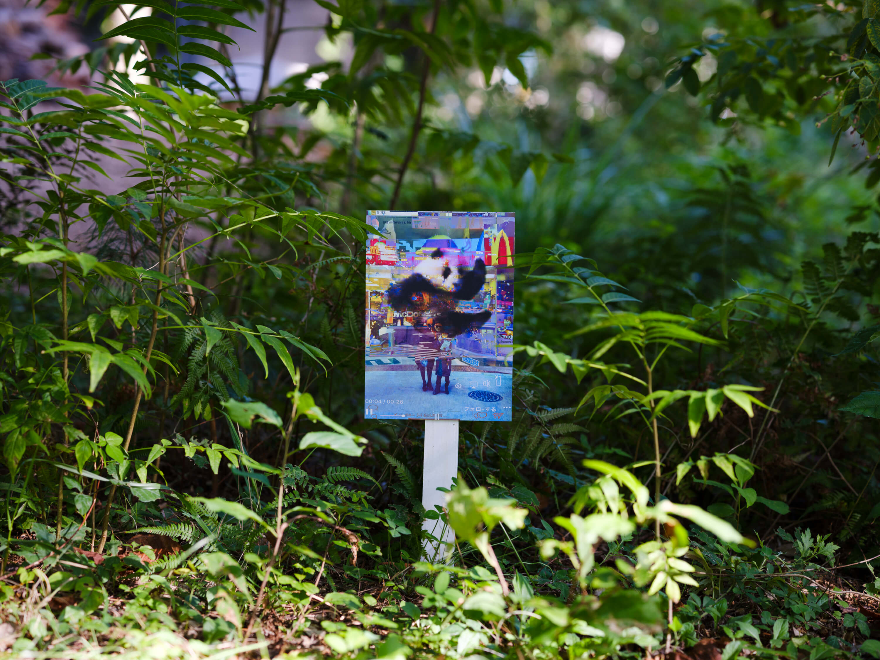 小林 健太｜松井祐生（関川卓哉）｜浅間国際フォトフェスティバル2025 PHOTO MIYOTA
