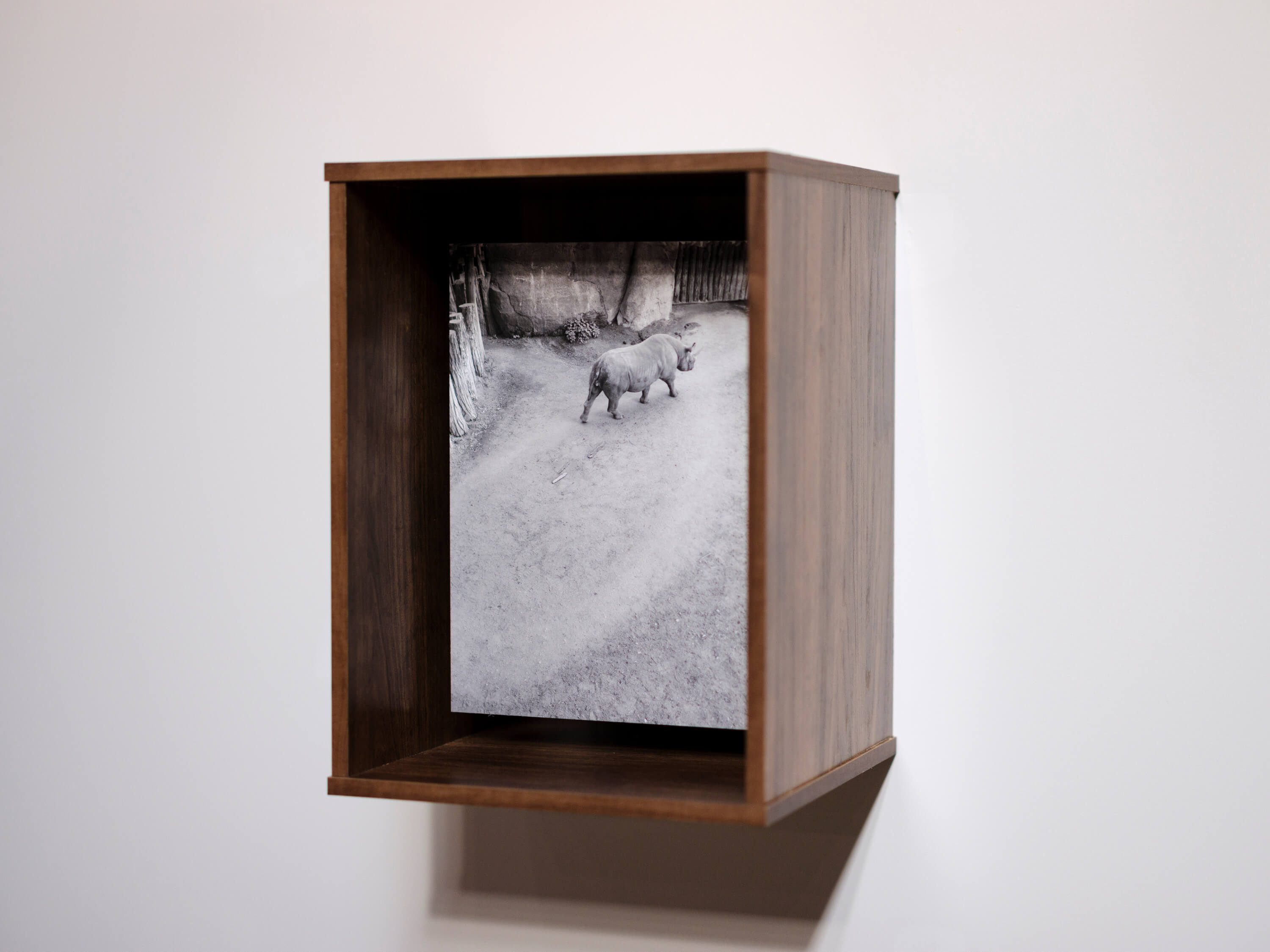 小原一真｜富安隼久｜浅間国際フォトフェスティバル2025 PHOTO MIYOTA