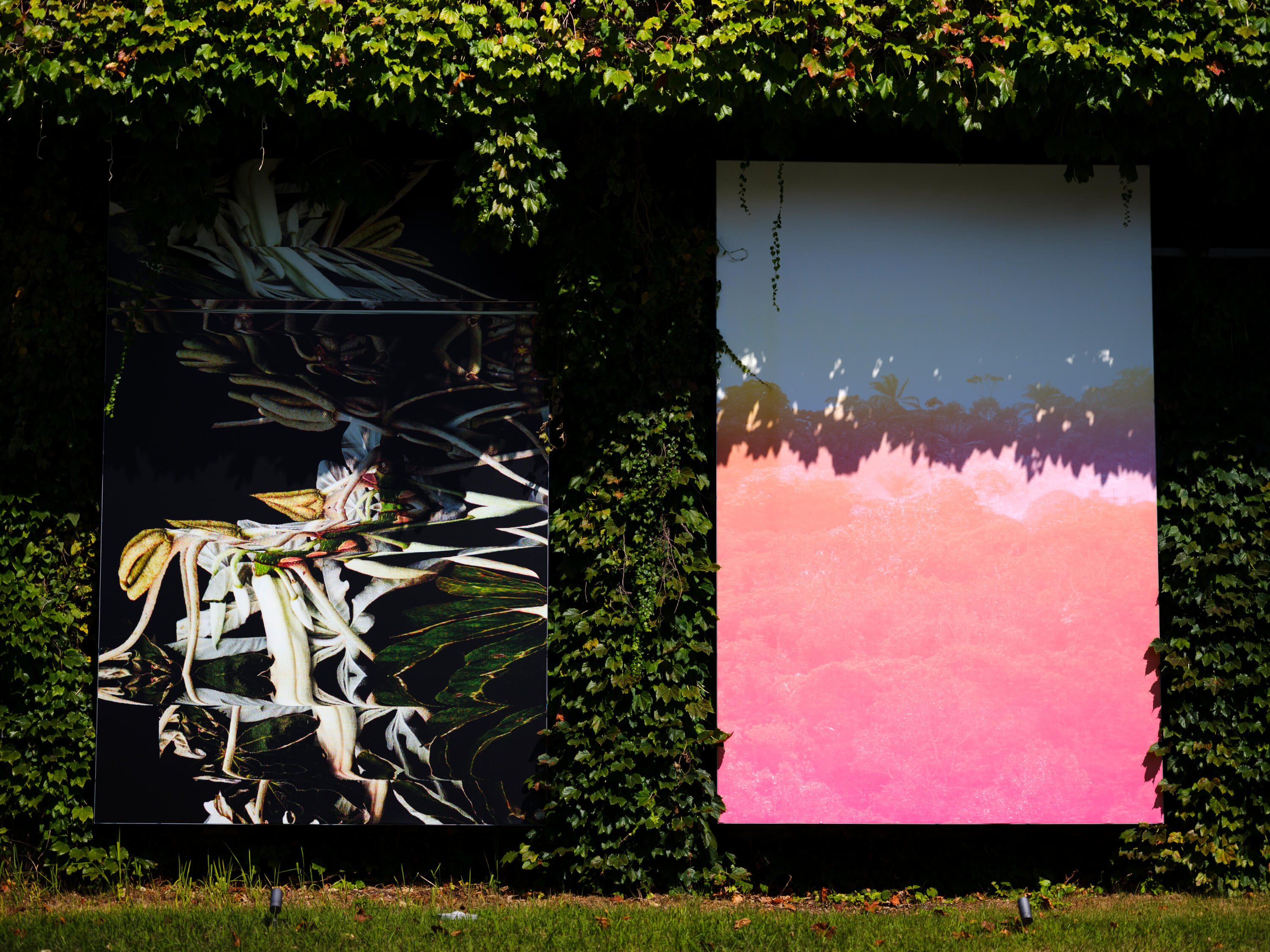 エルサ・レディエ｜コンスト｜浅間国際フォトフェスティバル2025 PHOTO MIYOTA