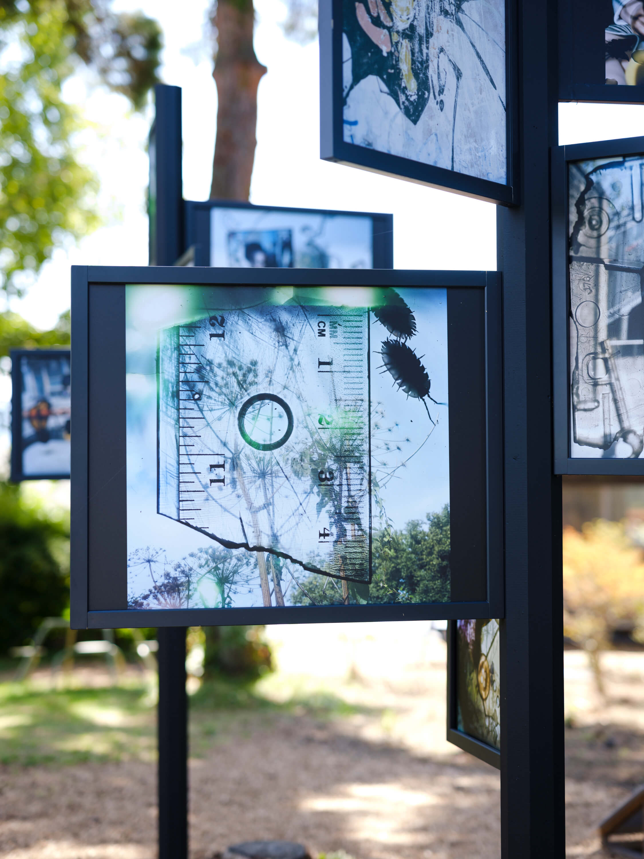 小山一成｜スティーブン・ギル｜浅間国際フォトフェスティバル2025 PHOTO MIYOTA