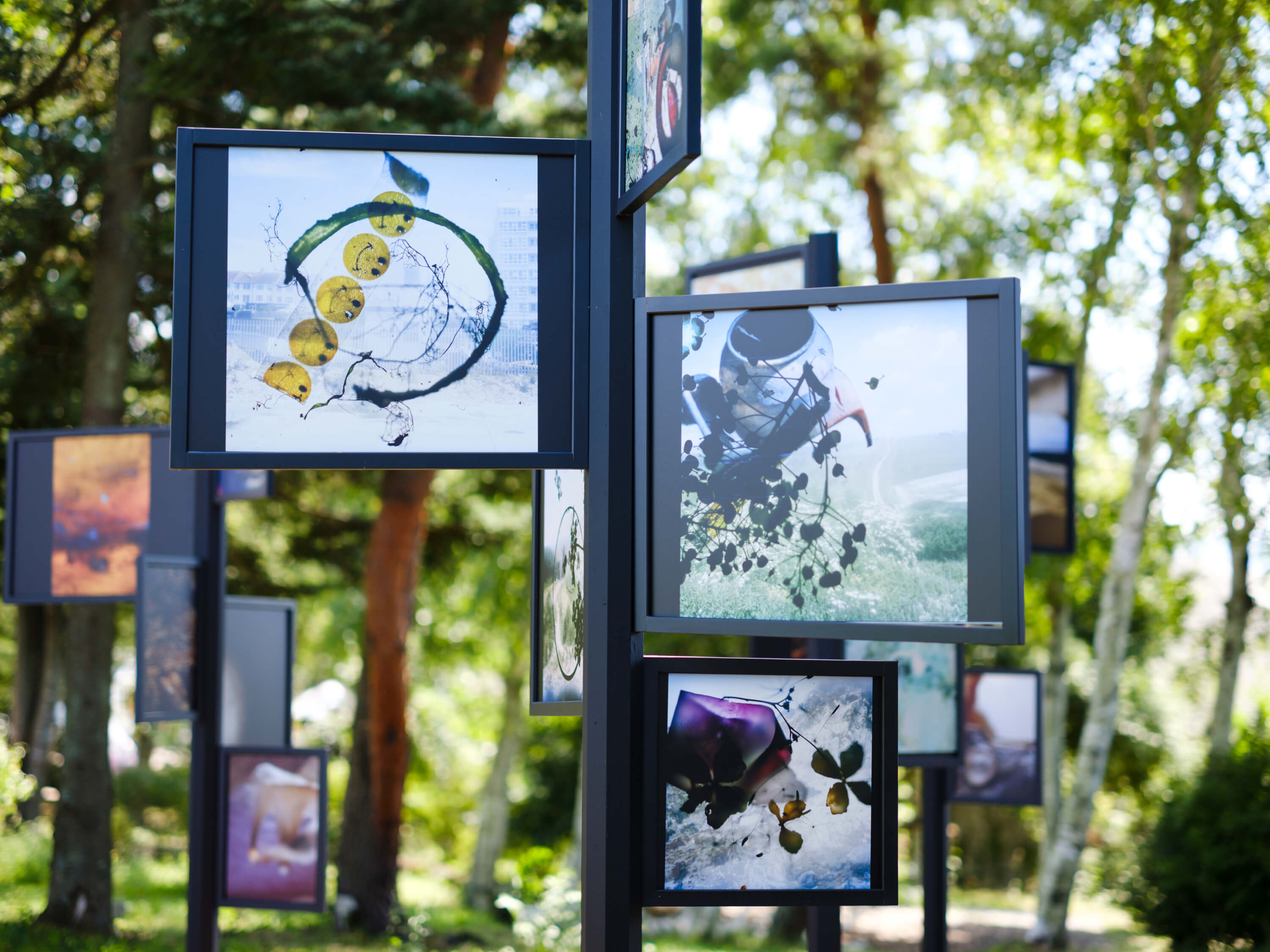 小山一成｜スティーブン・ギル｜浅間国際フォトフェスティバル2025 PHOTO MIYOTA