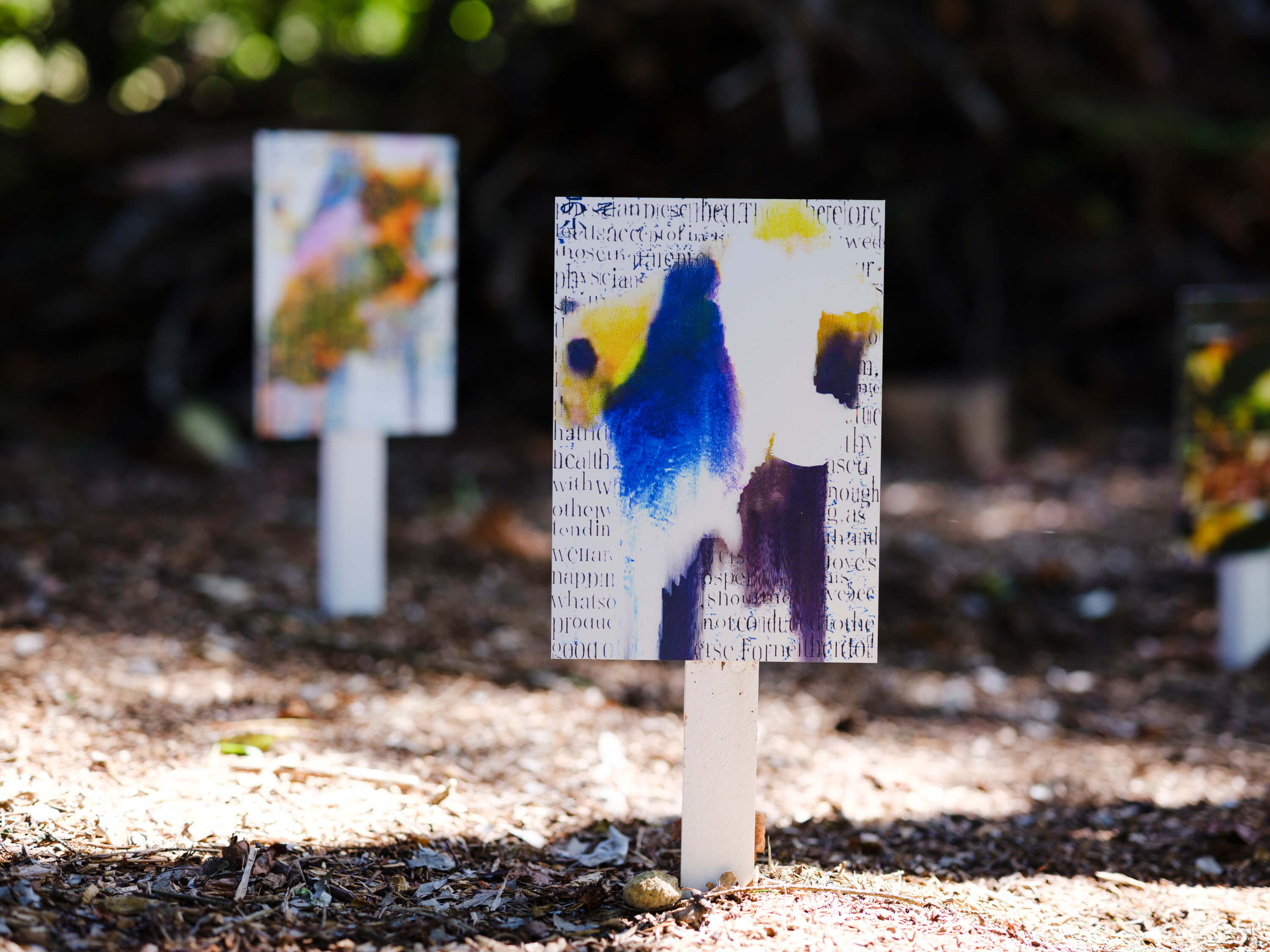 小林 健太｜松井祐生（関川卓哉）｜浅間国際フォトフェスティバル2025 PHOTO MIYOTA