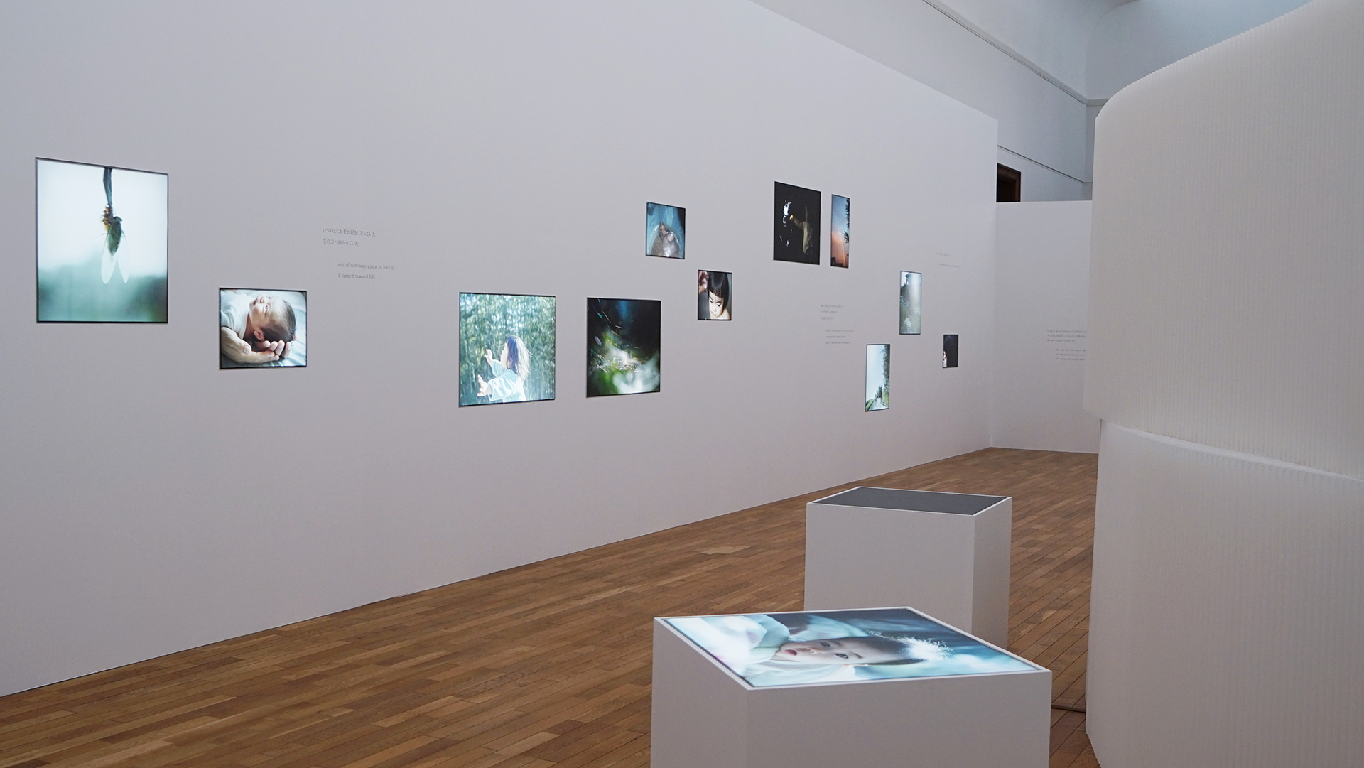 KYOTOGRAPHIE 京都国際写真展 2024｜Cui Cui ＋ as it is　From Our Windows｜川内倫子