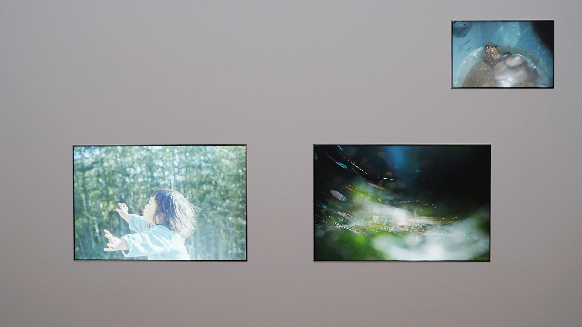 KYOTOGRAPHIE 京都国際写真展 2024｜Cui Cui ＋ as it is　From Our Windows｜川内倫子