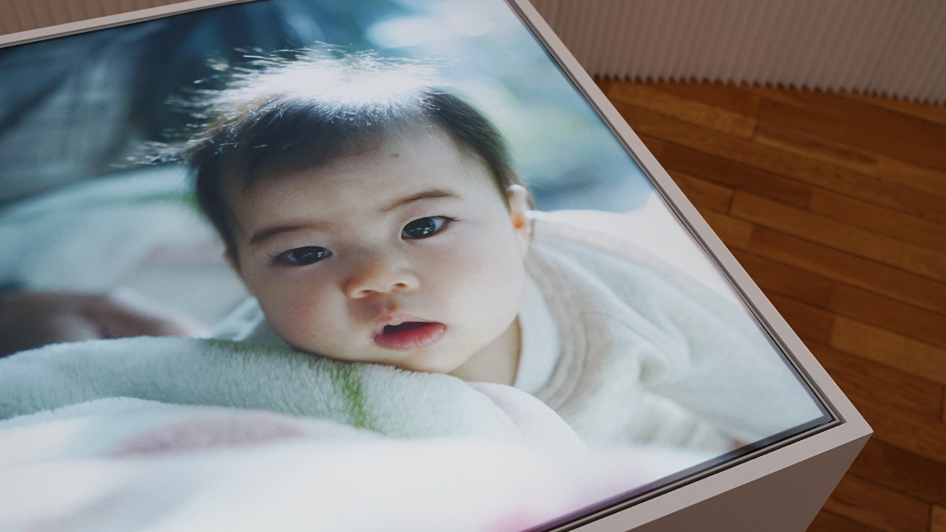 KYOTOGRAPHIE 京都国際写真展 2024｜Cui Cui ＋ as it is　From Our Windows｜川内倫子