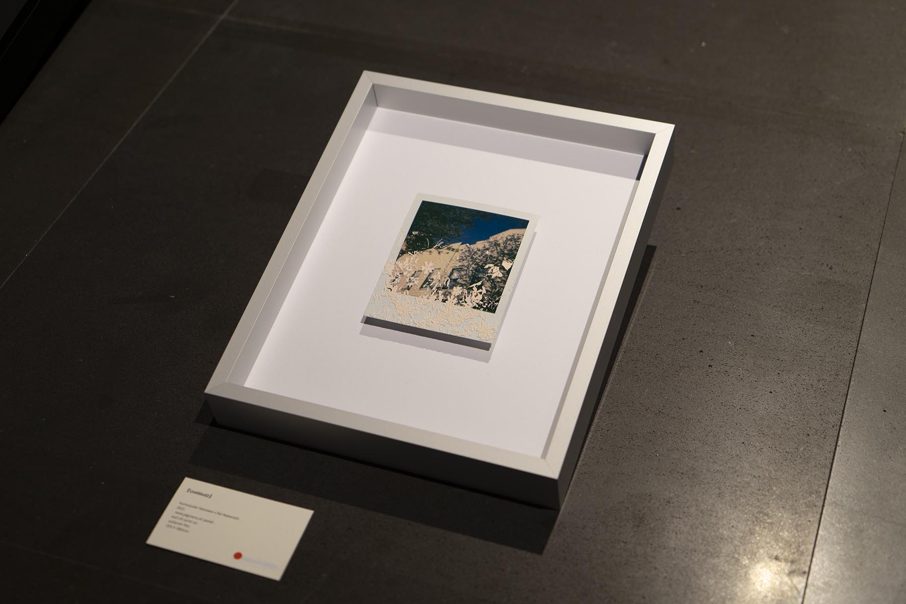 Rei Nakanishi and photographers|