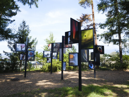 小山一成｜スティーブン・ギル｜浅間国際フォトフェスティバル2025 PHOTO MIYOTA