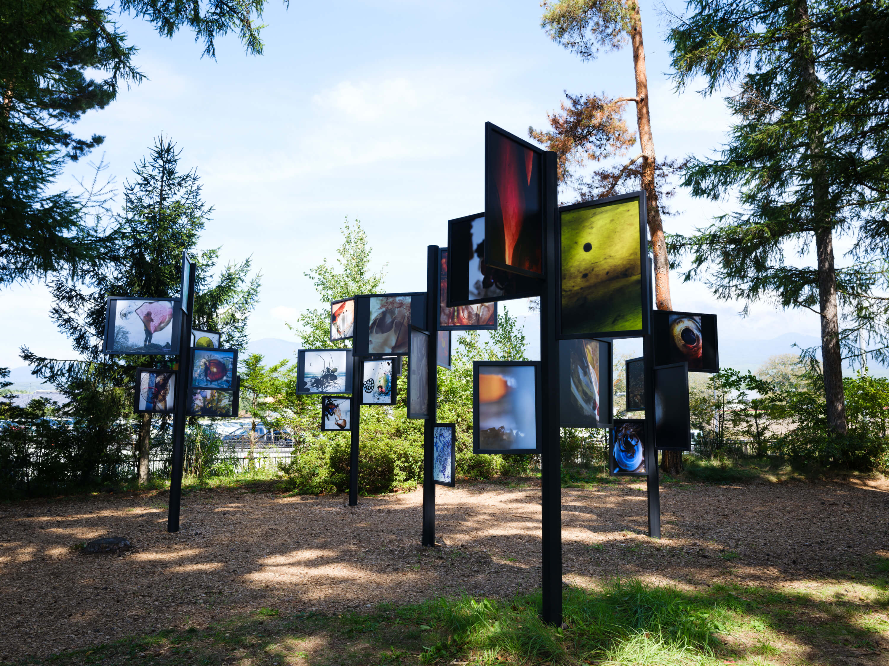 小山一成｜スティーブン・ギル｜浅間国際フォトフェスティバル2025 PHOTO MIYOTA