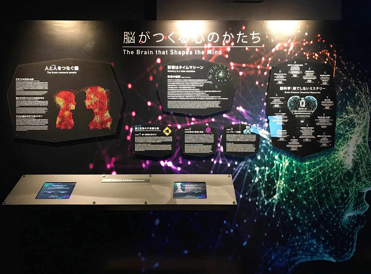 理化学研究所 BrainBox 内装