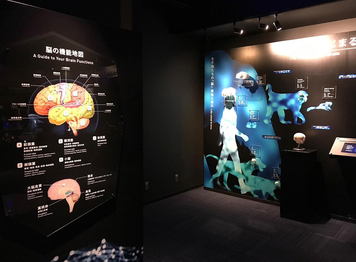 理化学研究所 BrainBox 内装