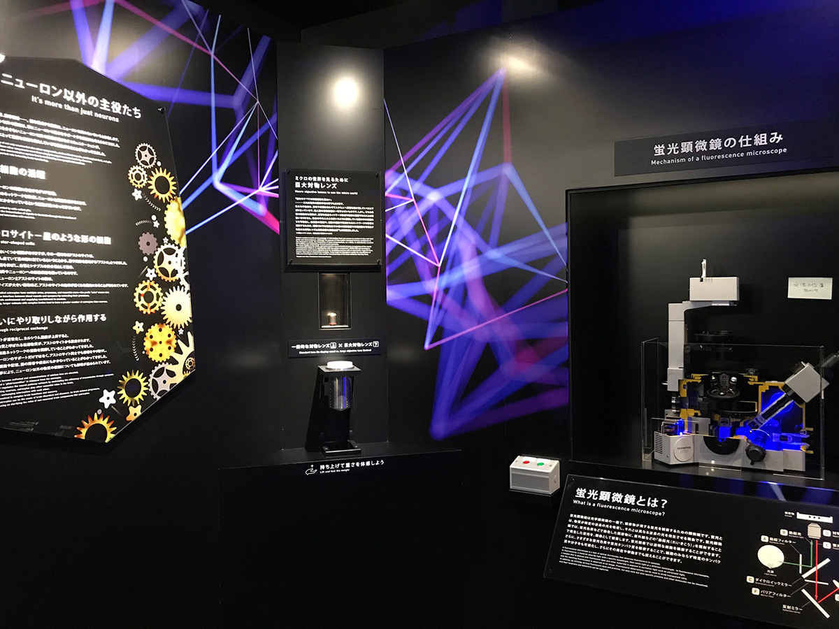 理化学研究所 BrainBox 内装
