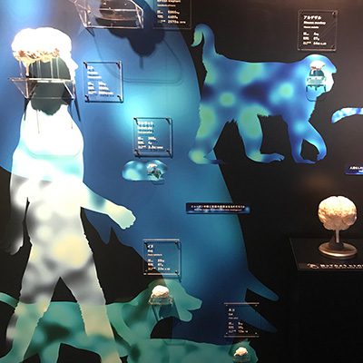 理化学研究所 BrainBox 内装