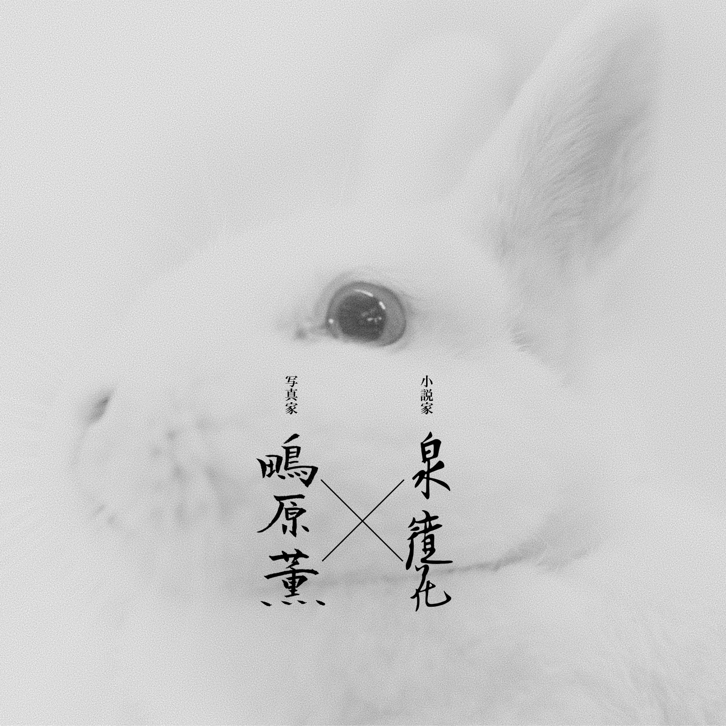 泉鏡花生誕150年企画展|泉鏡花×鴫原薫 “彼の生きかた”|開催のお知らせ
