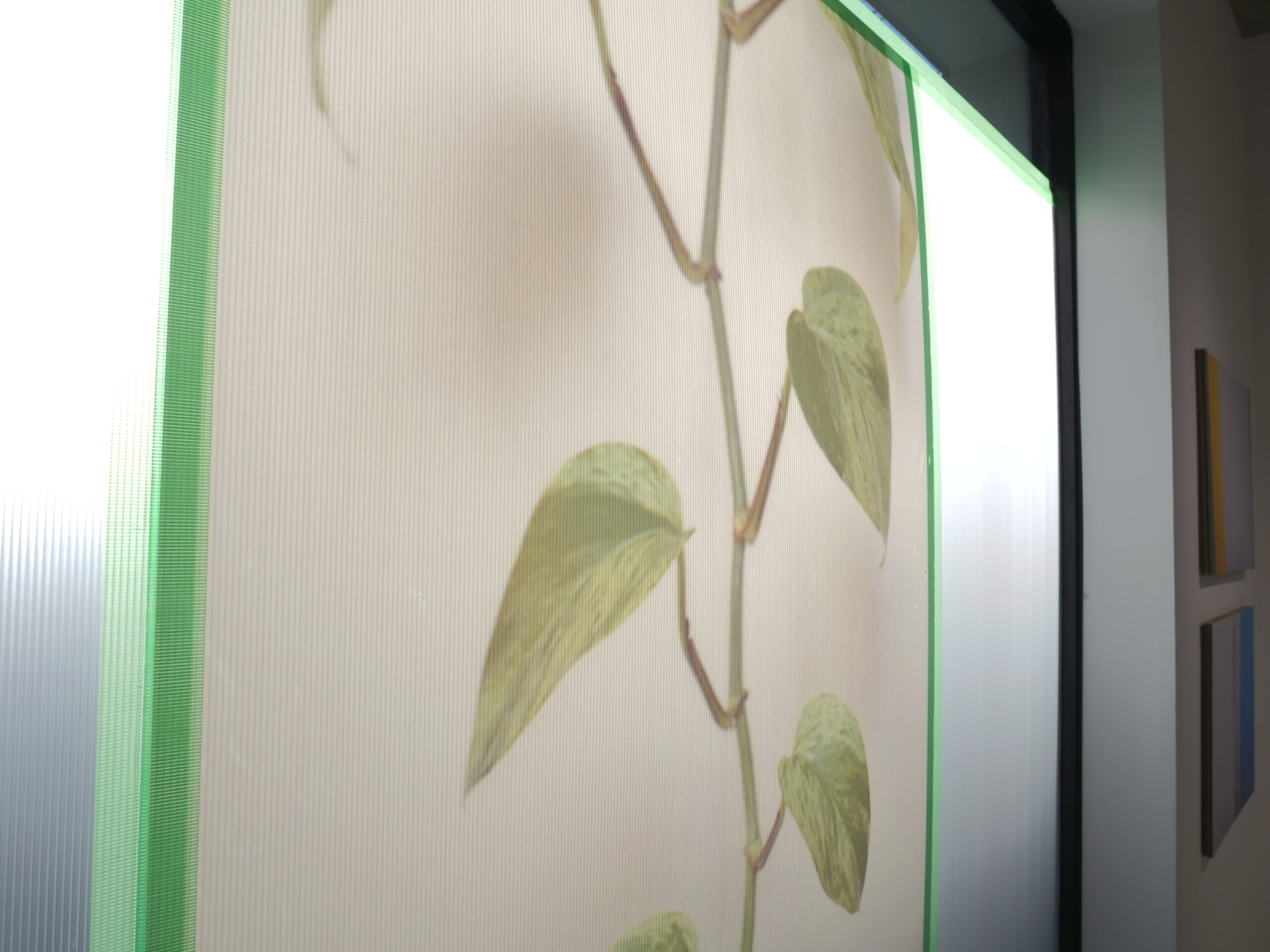 植田光二 ｜LOOK OUTSIDE THE BOX｜