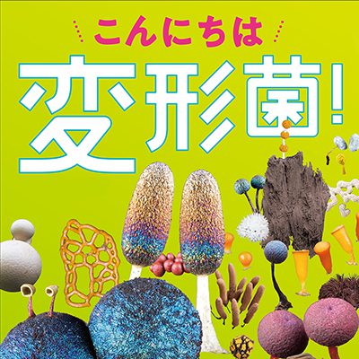 こんにちは変形菌！とってもふしぎな生きものです。