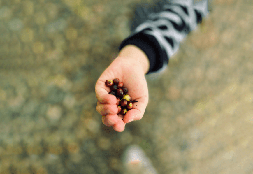 私たちの印刷へのこだわり 3